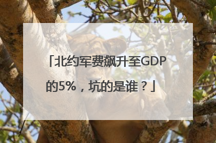 北约军费飙升至GDP的5%，坑的是谁？