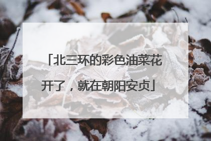 北三环的彩色油菜花开了，就在朝阳安贞
