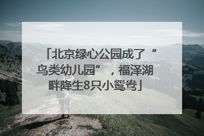 北京绿心公园成了“鸟类幼儿园”，福泽湖畔降生8只小鸳鸯