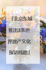 北京东城推出3条世界遗产文化探访线路