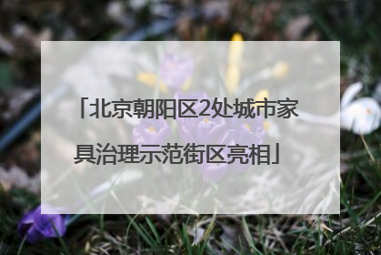 北京朝阳区2处城市家具治理示范街区亮相