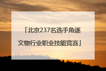 北京237名选手角逐文物行业职业技能竞赛