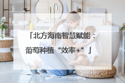 北方海南智慧赋能：葡萄种植“效率+”