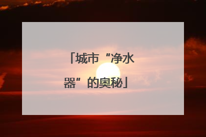 城市“净水器”的奥秘