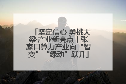 坚定信心 勇挑大梁·产业新亮点丨张家口算力产业向“智变”“绿动”跃升