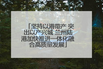 坚持以港带产 突出以产兴城 兰州陆港加快推进一体化融合高质量发展