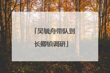 吴毓舟带队到长卿镇调研