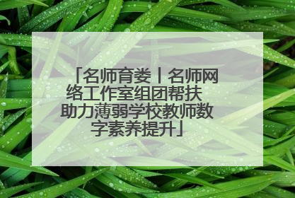 名师育娄丨名师网络工作室组团帮扶 助力薄弱学校教师数字素养提升