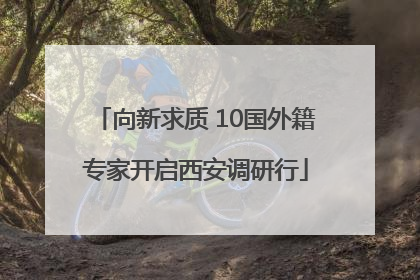 向新求质 10国外籍专家开启西安调研行
