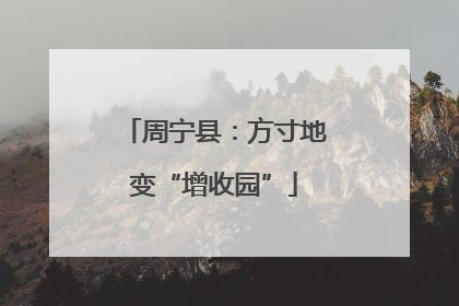 周宁县：方寸地变“增收园”