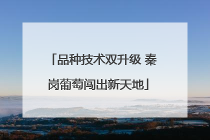 品种技术双升级 秦岗葡萄闯出新天地