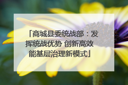 商城县委统战部：发挥统战优势 创新高效能基层治理新模式
