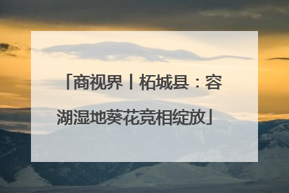 商视界丨柘城县：容湖湿地葵花竞相绽放