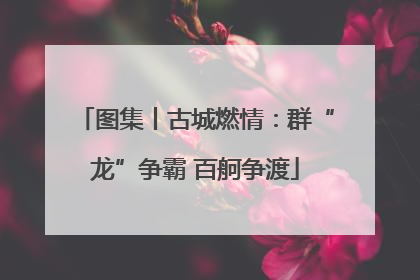 图集丨古城燃情：群“龙”争霸 百舸争渡