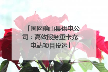 国网确山县供电公司：高效服务重卡充电站项目投运