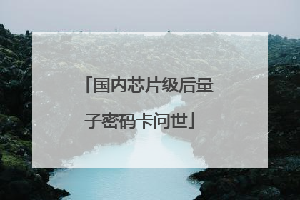国内芯片级后量子密码卡问世