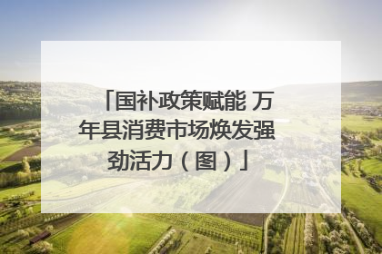 国补政策赋能 万年县消费市场焕发强劲活力（图）
