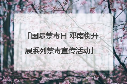 国际禁毒日 邓南街开展系列禁毒宣传活动