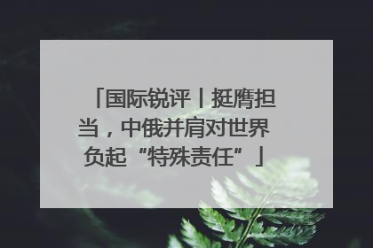 国际锐评丨挺膺担当，中俄并肩对世界负起“特殊责任”