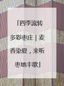 四季流转 多彩枣庄｜麦香染夏，来听枣地丰歌
