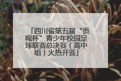 四川省第五届“贡嘎杯”青少年校园足球联赛总决赛（高中组）火热开赛