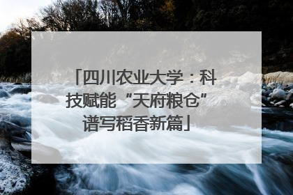 四川农业大学：科技赋能“天府粮仓”谱写稻香新篇