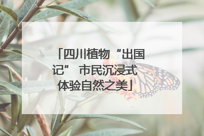 四川植物“出国记” 市民沉浸式体验自然之美