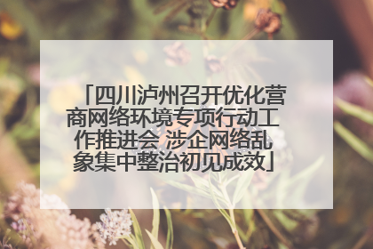 四川泸州召开优化营商网络环境专项行动工作推进会 涉企网络乱象集中整治初见成效