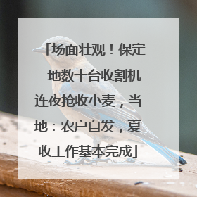 场面壮观！保定一地数十台收割机连夜抢收小麦，当地：农户自发，夏收工作基本完成