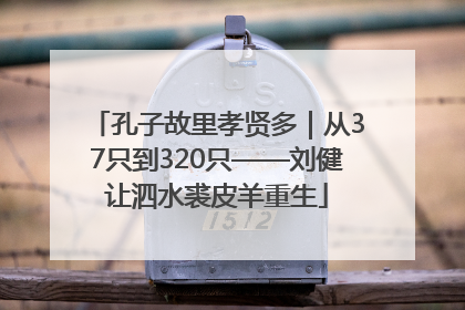 孔子故里孝贤多｜从37只到320只——刘健让泗水裘皮羊重生