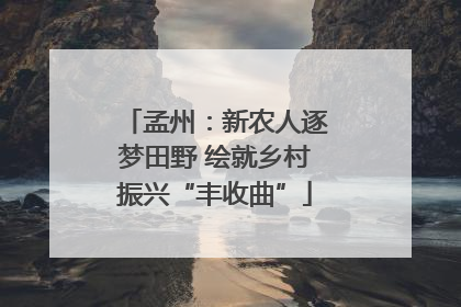 孟州：新农人逐梦田野 绘就乡村振兴“丰收曲”