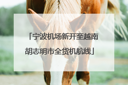 宁波机场新开至越南胡志明市全货机航线