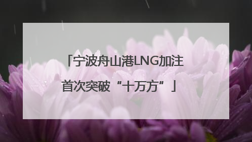宁波舟山港LNG加注首次突破“十万方”