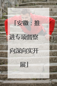安徽：推进专项督察向深向实开展