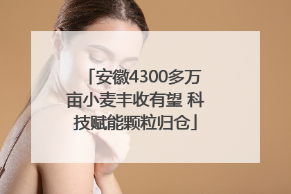 安徽4300多万亩小麦丰收有望 科技赋能颗粒归仓
