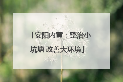 安阳内黄：整治小坑塘 改善大环境