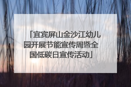 宜宾屏山金沙江幼儿园开展节能宣传周暨全国低碳日宣传活动