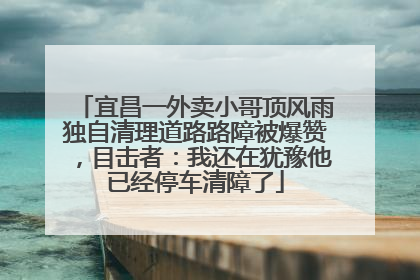 宜昌一外卖小哥顶风雨独自清理道路路障被爆赞，目击者：我还在犹豫他已经停车清障了