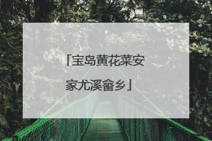 宝岛黄花菜安家尤溪畲乡