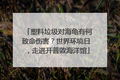 塑料垃圾对海龟有何致命伤害？世界环境日，走进开普敦海洋馆