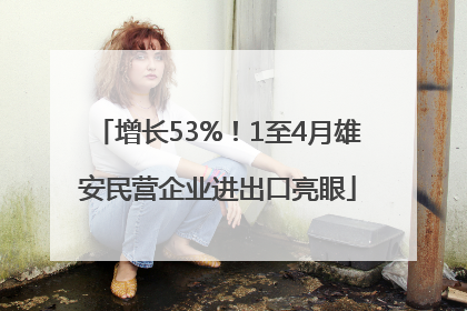 增长53%！1至4月雄安民营企业进出口亮眼