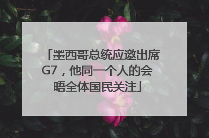 墨西哥总统应邀出席G7，他同一个人的会晤全体国民关注