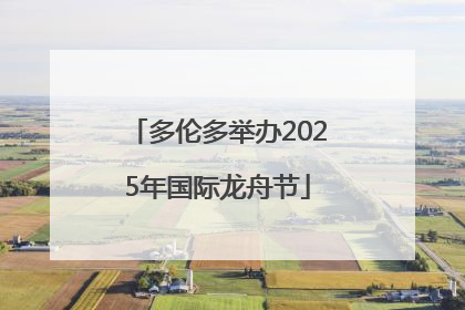 多伦多举办2025年国际龙舟节