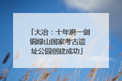 大冶：十年磨一剑 铜绿山国家考古遗址公园创建成功