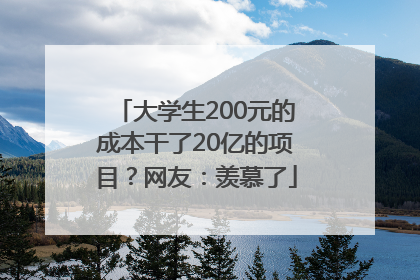 大学生200元的成本干了20亿的项目？网友：羡慕了