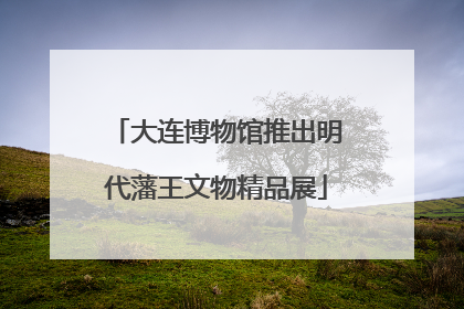大连博物馆推出明代藩王文物精品展