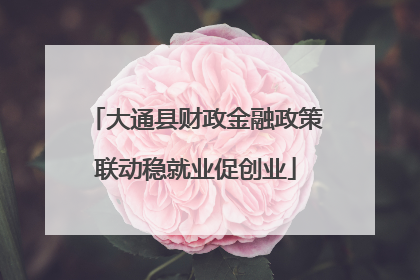 大通县财政金融政策联动稳就业促创业