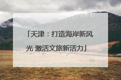 天津：打造海岸新风光 激活文旅新活力
