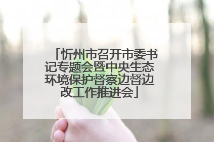 忻州市召开市委书记专题会暨中央生态环境保护督察边督边改工作推进会
