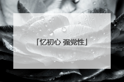 忆初心 强党性